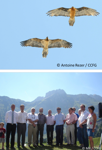 Baptème Gypaète Bargy