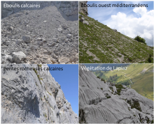 Milieux rocheux calcaires